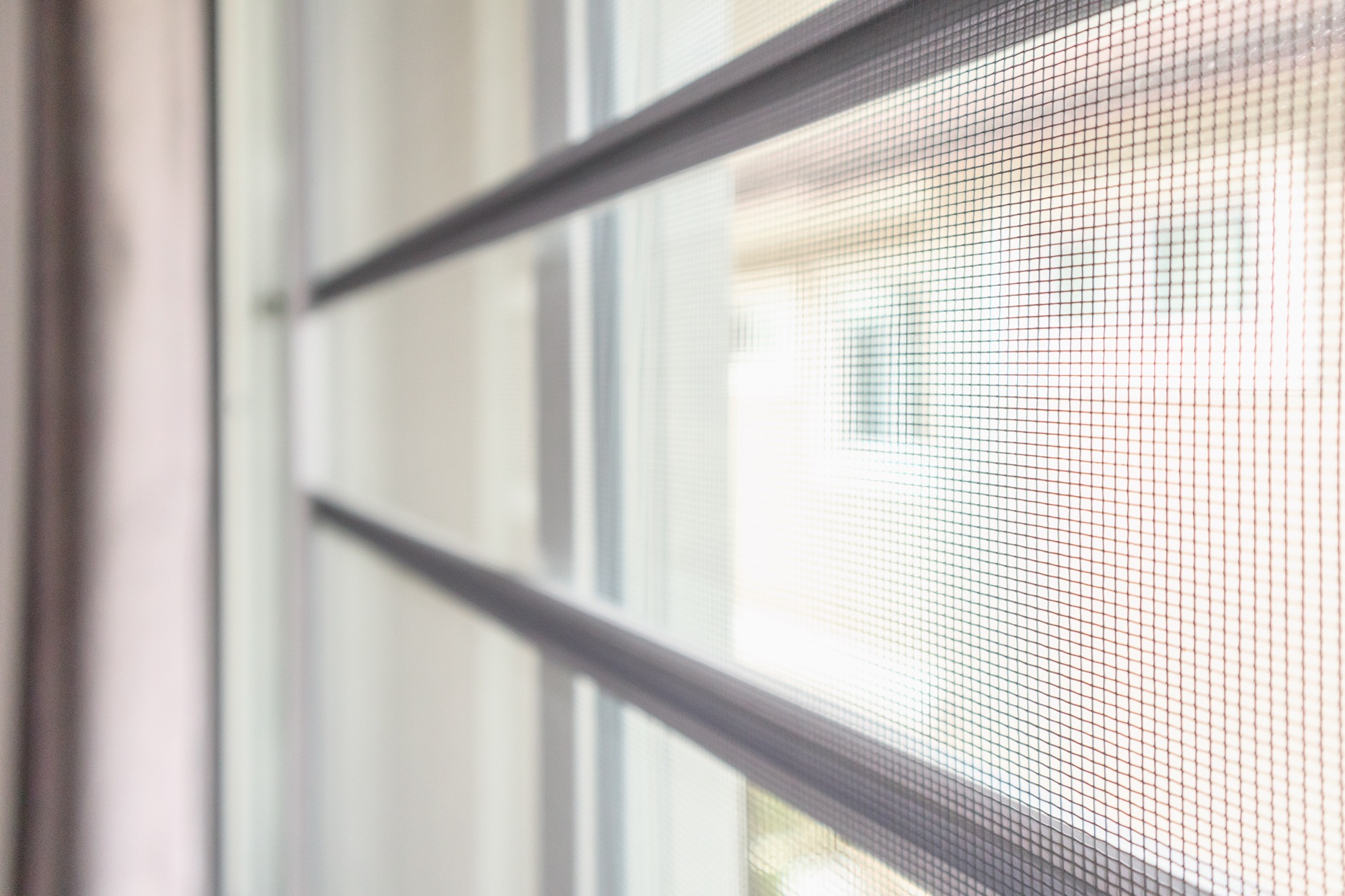 Bild zum Thema Insektenschutz